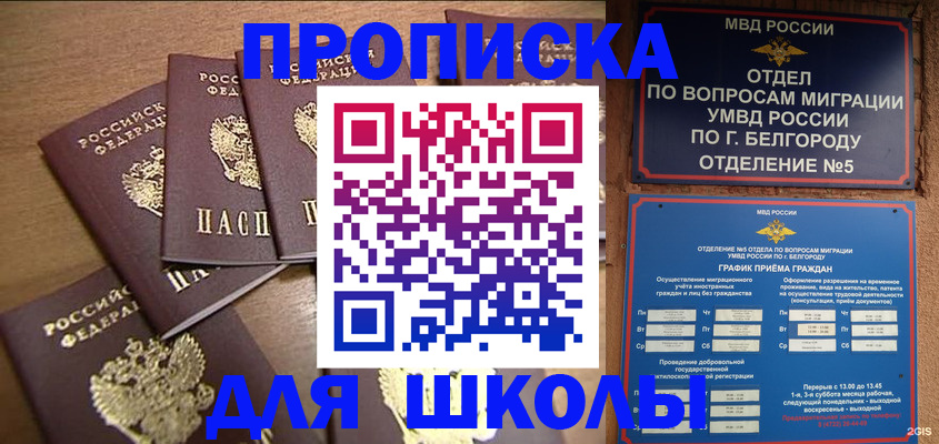 прописка гарантия в Камбарке
